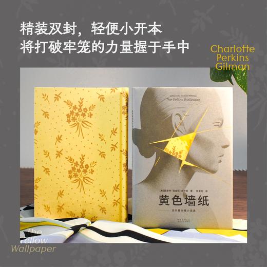 黄色墙纸：吉尔曼女性小说选（早于伍尔夫和波伏瓦的女性主义先驱吉尔曼短篇精选集，《鸟山》译者任爱红新译。宁愿发疯，也不顺从） 商品图5