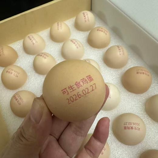 【村长实地考察丨源朴有机芦花鸡/鸡蛋系列】千亩槐林自然散养，500天以上成长周期，全程有机生态养殖，鸡肉肉质紧实细腻，鸡蛋进口设备灭菌消毒分选腥味小 商品图1