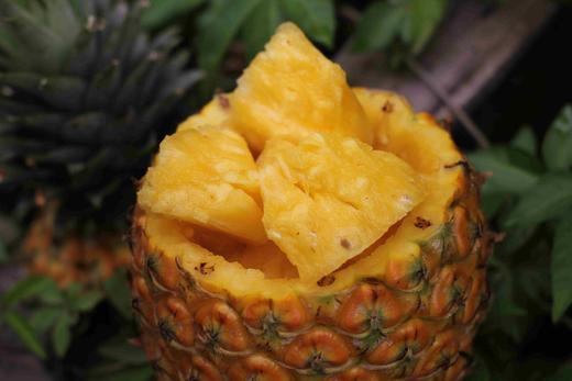 海南芒果凤梨 商品图2