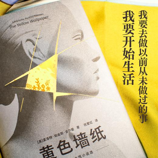 黄色墙纸：吉尔曼女性小说选（早于伍尔夫和波伏瓦的女性主义先驱吉尔曼短篇精选集，《鸟山》译者任爱红新译。宁愿发疯，也不顺从） 商品图6