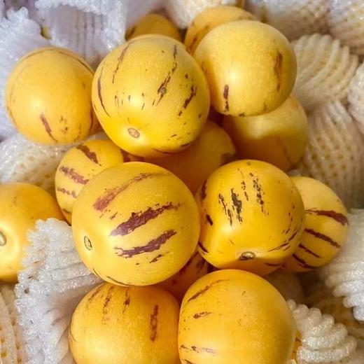 【云南石林树上熟人参果】头茬人参果 又叫糖水小炮弹 口齿留香 清甜多汁 肉质细腻 4种规格任选 商品图3