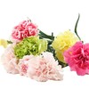 康乃馨花束 10支/1束（颜色随机） 商品缩略图1