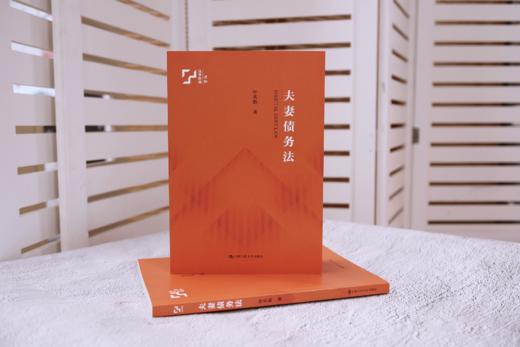 夫妻债务法 / 叶名怡 商品图1