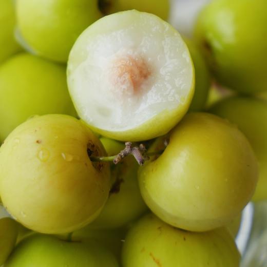 【包邮】樱桃珍珠枣，一颗甜蜜与珍贵的“小美味”，皮薄多汁，甜而不腻、脆嫩清爽，稀有品种 商品图1