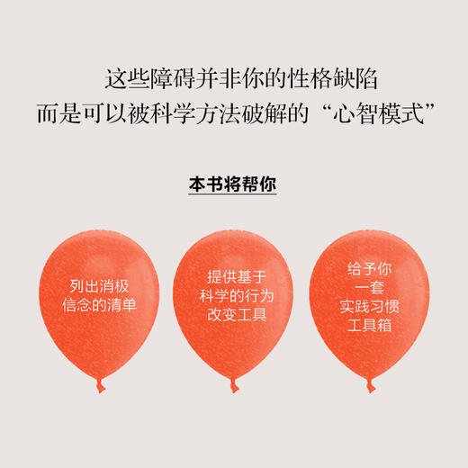 韧性练习：达成目标的思维与行动指南 心理韧性练习手册励志个人成长思维方式心理学与神经科学 商品图2
