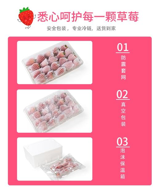 山东临沂   酵素生态香野草莓 现摘现发 商品图5