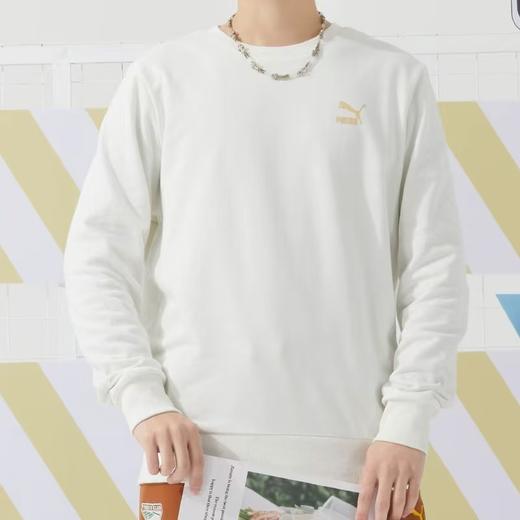 PUMA彪马 129.9元 针织卫衣 (线上线下同时在售不保证有货,活动款不退不换介意勿拍)600483-GJ 商品图0