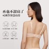 【一口价】3楼安莉芳EBW0795小胸无钢圈聚拢收副乳无痕网纱文胸EBW0795吊牌价569元现价189元 商品缩略图4