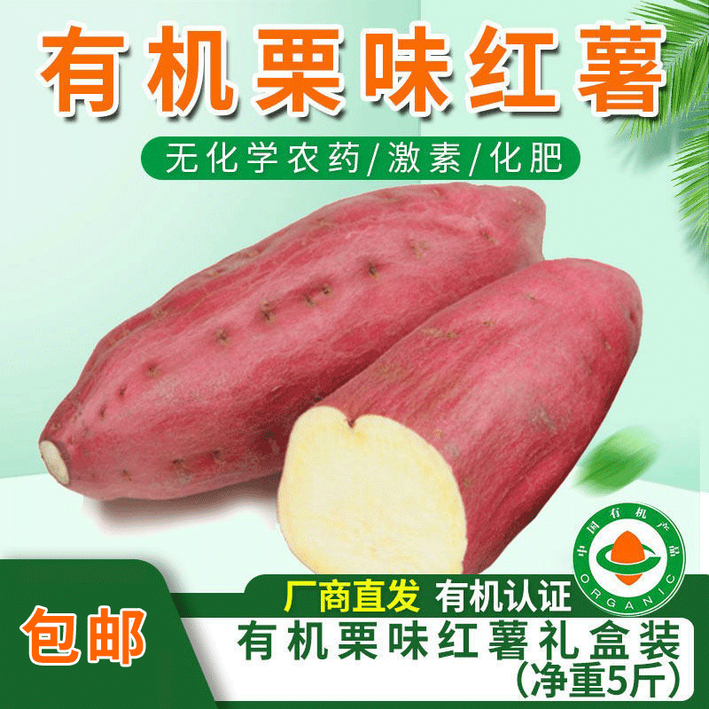 包邮【厂商直发】有机栗味红薯桥沙地瓜礼盒装净重5斤
