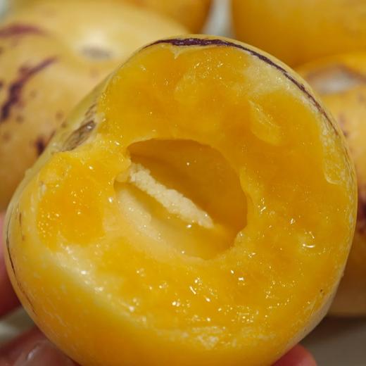 云南树上熟人参果【红河产区，现摘现发】 商品图7