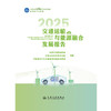 2025交通运输与能源融合发展报告 商品缩略图3