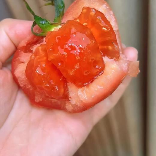 【顺丰发货】普罗旺斯西红柿 净重3/5斤（单果90g+） 沙瓤鲜嫩坏果包赔（早餐好物） 商品图4