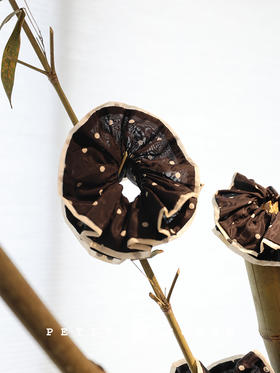 1999积分兑换 PETIT SCHAN小闪 黑糖珍珠 法式桑蚕丝波点弹力发圈