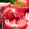陕西普罗旺斯西红柿 净重4-4.5斤小中大果 商品缩略图9