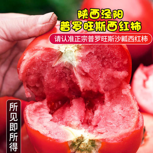 陕西普罗旺斯西红柿 净重4-4.5斤小中大果 商品图9