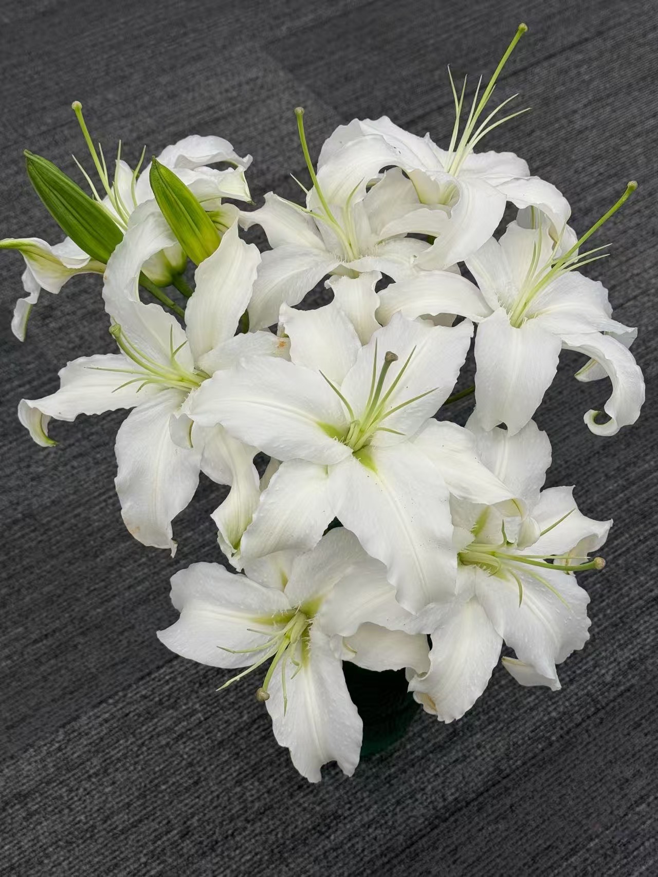 西伯利亚百合10枝