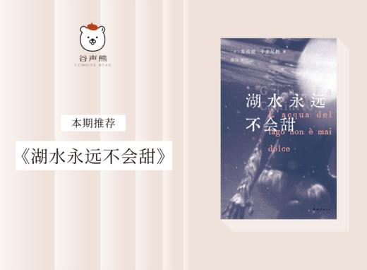 长篇小说 |《湖水永远不会甜》 商品图0