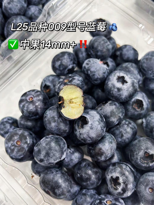 云南怡颗莓L25蓝莓 商品图4