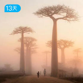 马达加斯加｜13日 时间止步，大地狂想 