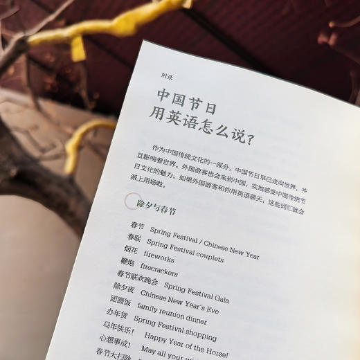 《烟火诗意：我们的中国节日》 商品图6