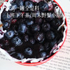 【专属女神的一口甜蜜】72h内现做现发 蓝莓/草莓酸奶巴斯克蛋糕  采用应急新鲜水果  口感酸酸甜甜绵密丝滑富有层次  配料干净0香精0色素0防腐剂~ 商品缩略图3
