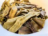 2025春 窃香  森林古茶  窃一缕天门山中挝边境大森林里古茶树的茶香  200克起 商品缩略图6
