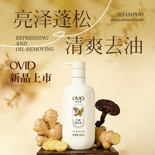 奥岚雪生姜清爽洗发露 商品图1