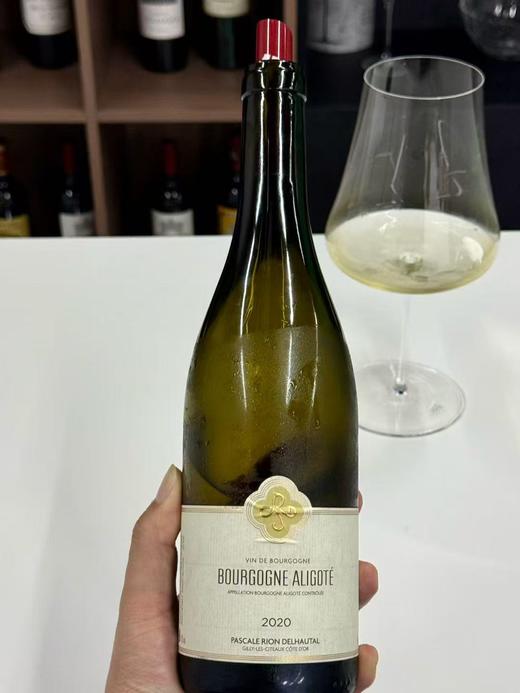 帕卡瑞昂酒庄勃艮第红葡萄酒/阿里高特白葡萄酒 2020 Pascale Rion Delhautal Bourgogne/Aligote 商品图4