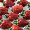 黑珍珠草莓 300g/盒 商品缩略图0