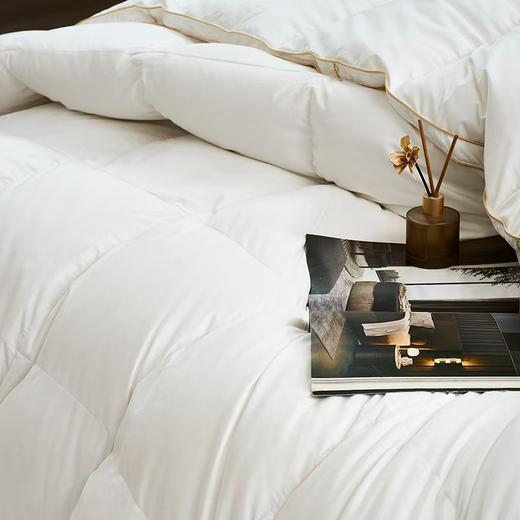 【富安娜】B座7富安娜超柔蓄暖95鹅绒四季被/斯嘉丽 商品图2