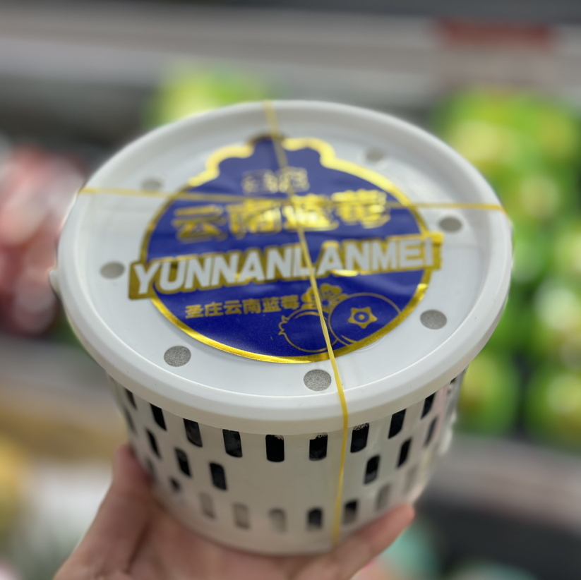云南蓝莓桶装400g