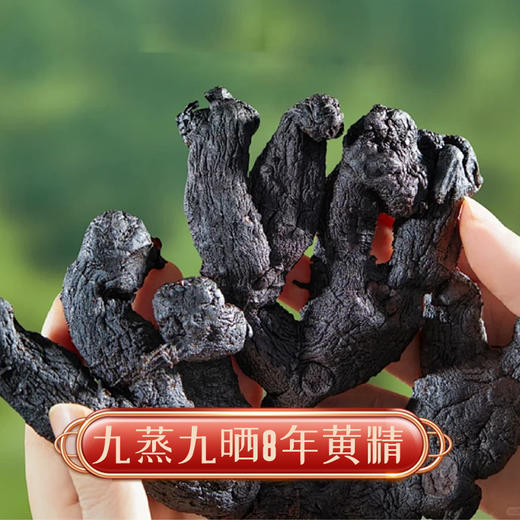 【黄精枣】九蒸九晒真工艺 药食同源更养人 绵密软糯 老少皆宜 商品图5