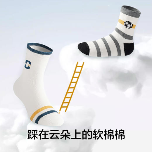 【5双装】【有棵树】男童中筒棉袜组合装 商品图4