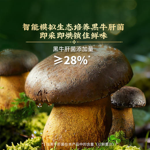 MM 山姆 徽记牛肝菌翡翠笋（椒麻冷泡味）620g 商品图3