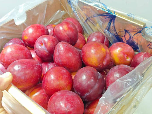 澳洲鸡心李礼盒，人气超高的一款
脆甜女神！外形像鸡心般的形状，超级多汁，一口咬下汁水炸裂、香甜果汁充斥口腔， 商品图0