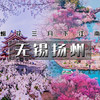 成行有位【无锡扬州·立减50元】烟花三月下江南の兴化油菜花海-李中水上森林-瘦西湖-何园-鼋头渚樱花-个园-无锡古运河（火车团） 商品缩略图0