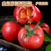 【顺丰发货】普罗旺斯西红柿 净重3/5斤（单果90g+） 沙瓤鲜嫩坏果包赔（早餐好物） 商品缩略图0