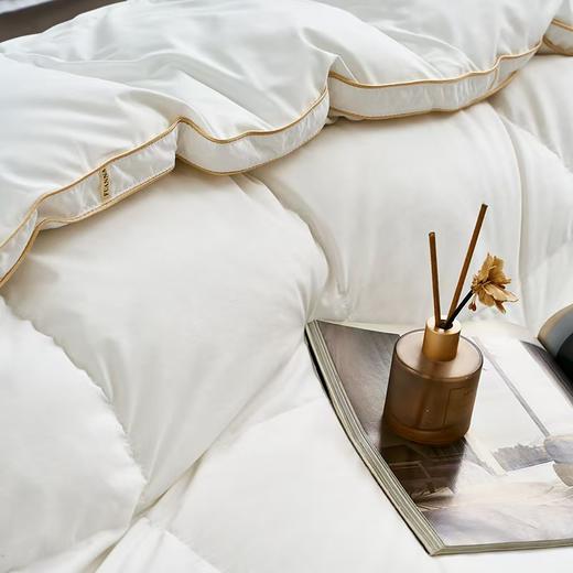 【富安娜】B座7富安娜超柔蓄暖95鹅绒四季被/斯嘉丽 商品图4