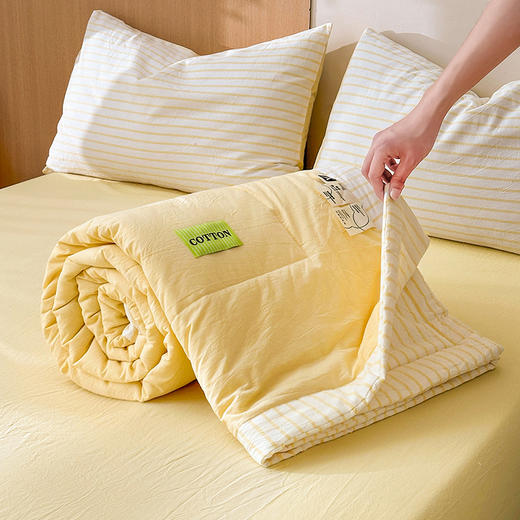 【品牌直发】加倍生活 A类里外全棉纯棉色织水洗棉棉花夏被四件套-果色系列 4色可选 空调被夏凉被 商品图4