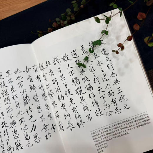 云山万里：南怀瑾先生纪念辑 商品图6