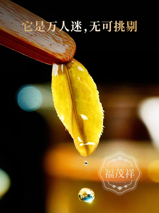 2026年春茶【猫耳朵单株】易武茶区猫耳朵古茶园700古树茶357克普洱生茶 商品图2