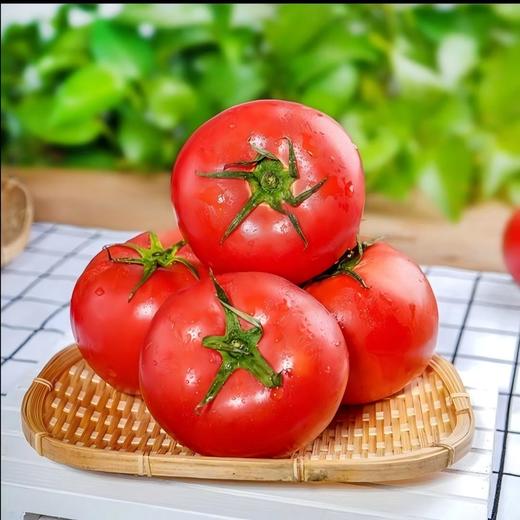 【顺丰发货】普罗旺斯西红柿 净重3/5斤（单果90g+） 沙瓤鲜嫩坏果包赔（早餐好物） 商品图3