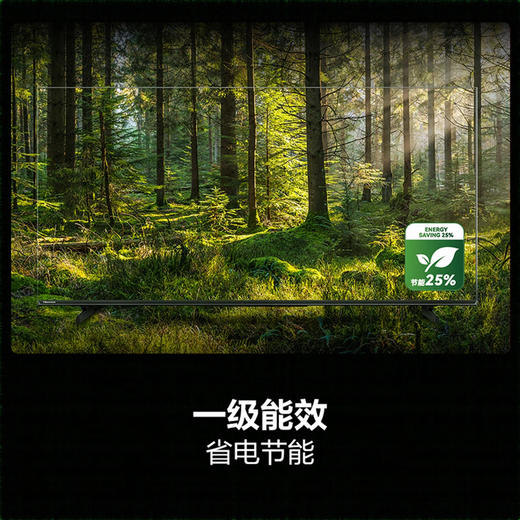 海信（Hisense）电视 65D30QD 商品图9