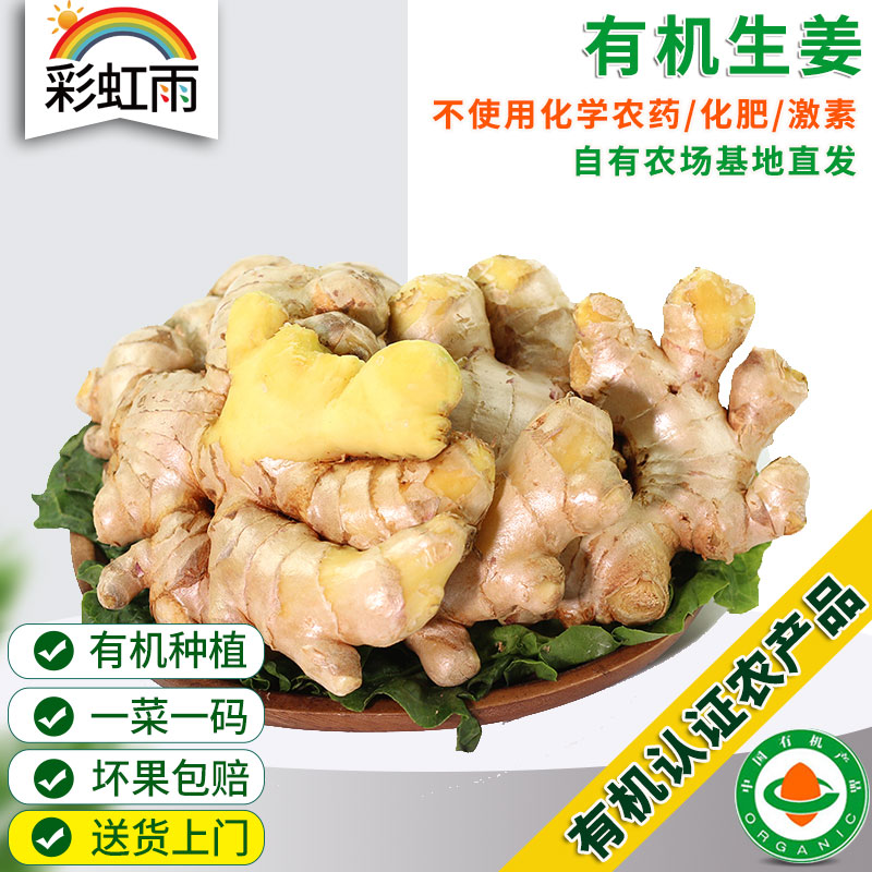 彩虹雨 新鲜青菜有机蔬菜 生姜500g 小黄姜姜味十足全国发货满额包邮