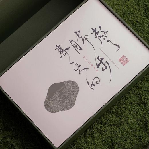 30元一套 / 一箱12套 春天有约【信阳毛尖半斤  深绿 双罐】 商品图2