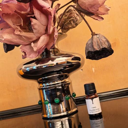 [屁侠.pippa]AyuSKAma 丁香精油 10ml/瓶 商品图0