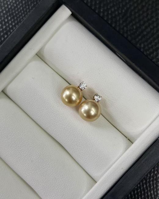 ⁶18k金【王妃款金珠耳钉】中金，9-10mm极光微瑕，出证书，24小时鉴赏期【香港】SS06-QTT-XGZZ 商品图1