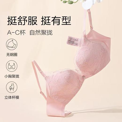 【一口价】3楼安莉芳玫瑰蕾丝文胸女小胸聚拢显大无钢圈内衣EBW0868吊牌价539元现价199元 商品图2