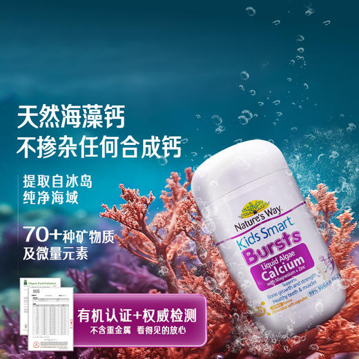【C】Nature's Way 佳思敏海藻钙儿童液体钙镁锌30粒 商品图1