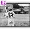 【中商原版】Robert Frank Film Works 进口艺术 罗伯特 弗兰克：电影作品 商品缩略图2